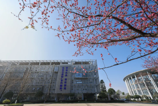 F2290BDEA040B07A64C9338571A_28E3F82F_C7B4A