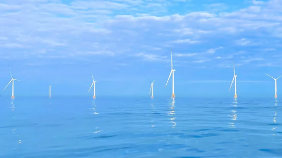 AF7E4D39E9DD1E202CE4E57B71B_74195367_A8520