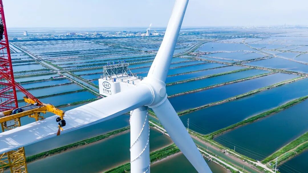 F5F222E727A17F7E195BE11D185_195DE92E_1DC6F