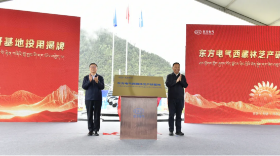 8C05FE24F133C8A8A68D3CC1496_7475AA34_A6B25