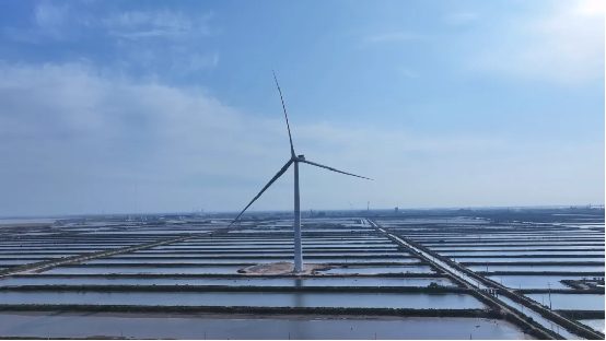 7E0AFF7AB3863A9A805ABB32D5E_7D3E313C_A92A5