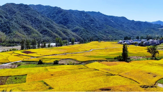 674E2C470E84B45067AF30BBBA9_BDD5C1A7_A8DC5