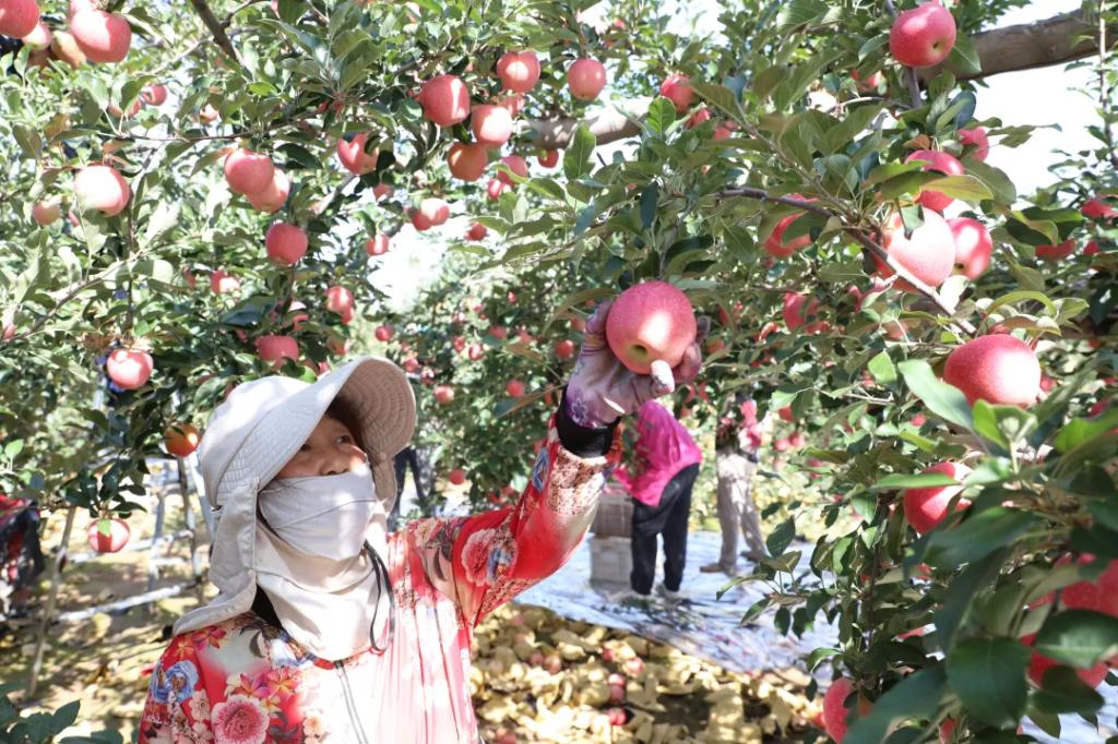 3BCC9AA173B7D36A3A90CBFAFCB_A934C84F_29584