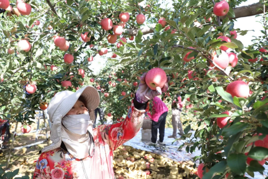 2E9505E58ACEC7C85F526B4F766_7122B5F2_C7B4A