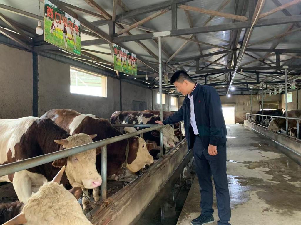 9ABBC3C2B567B34914B73508741_6BB98D38_1E458